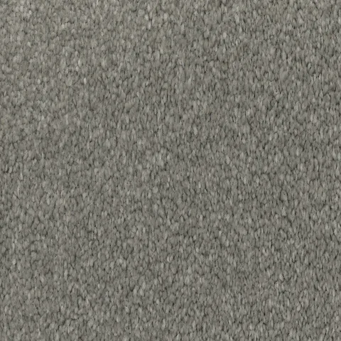 Silver carpet swatch